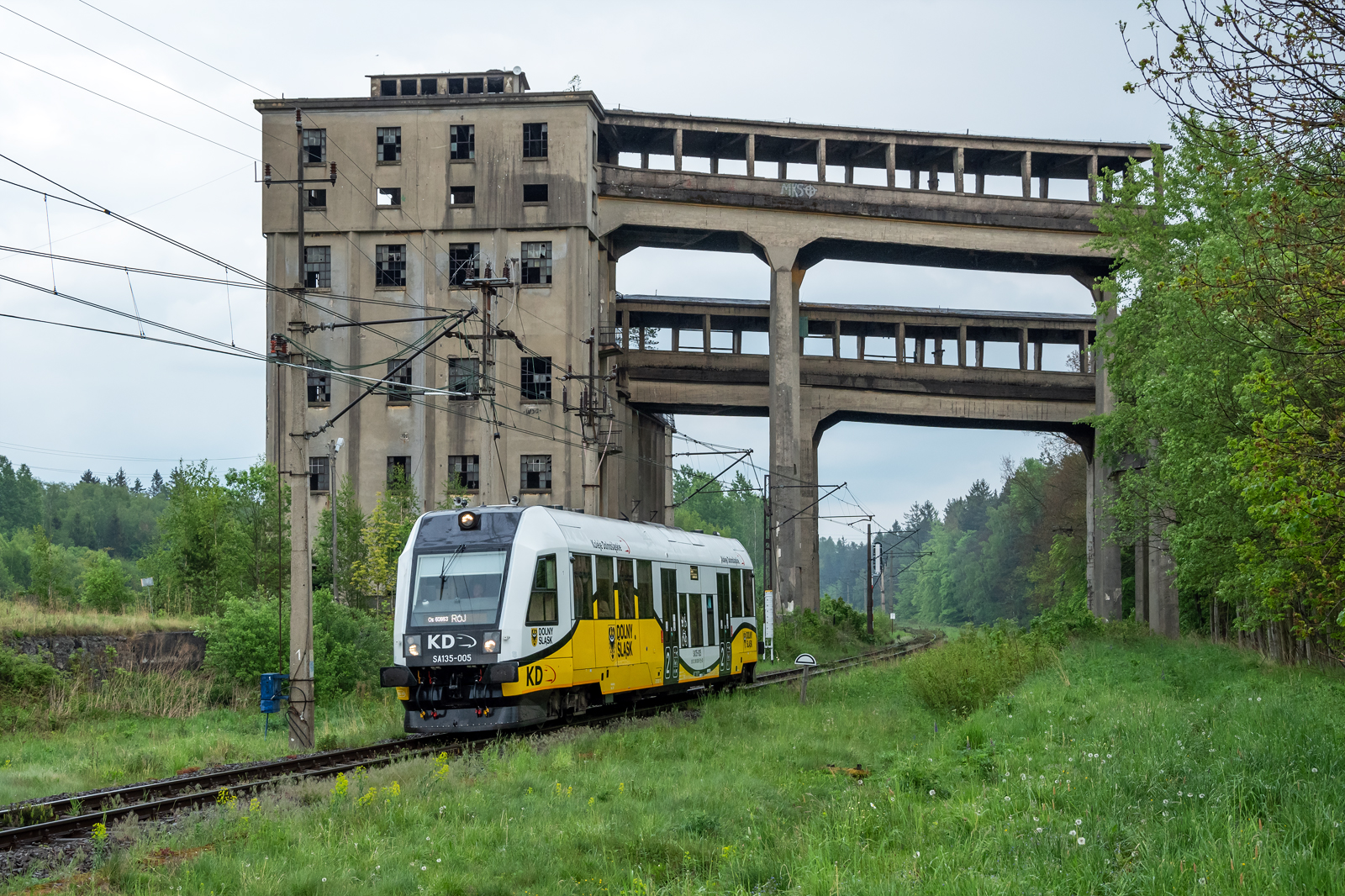 SA135-005 [Koleje Dolnośląskie]