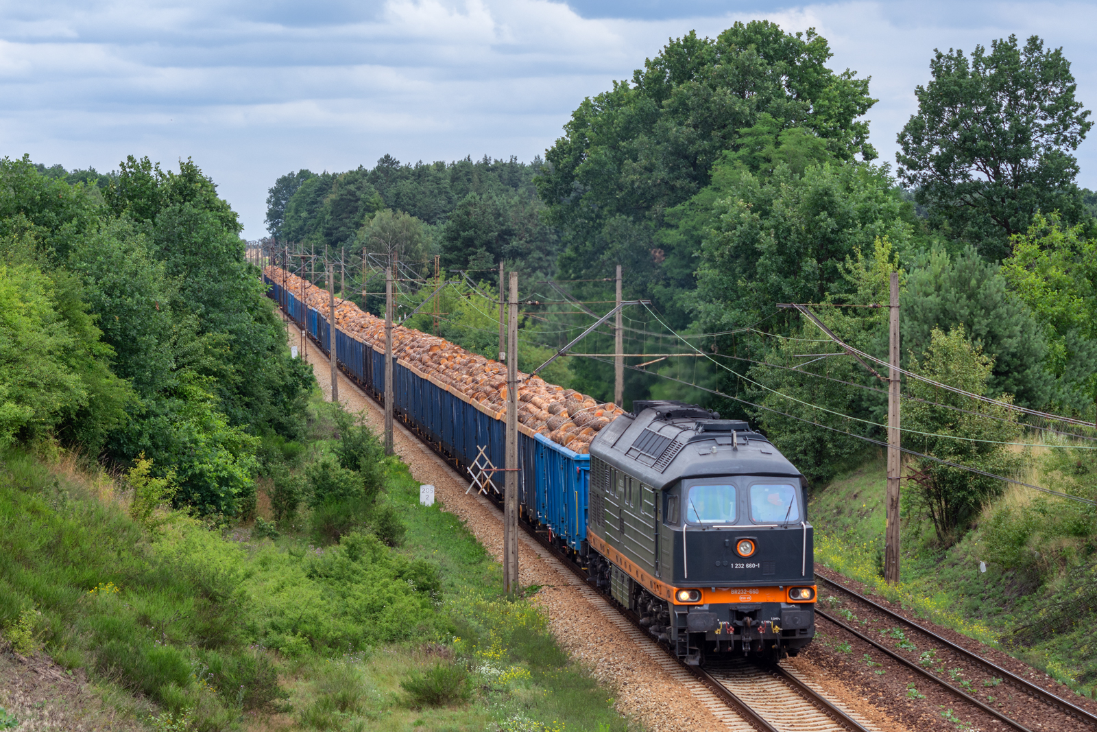 BR232-660 [Ecco Rail]