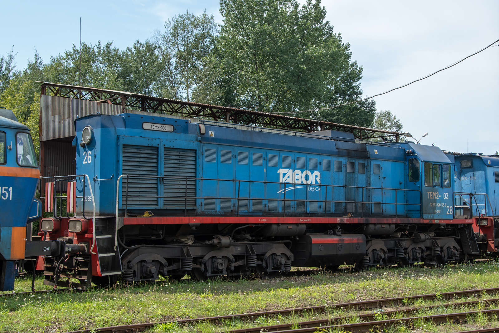 TEM2-303 [Tabor Rail]