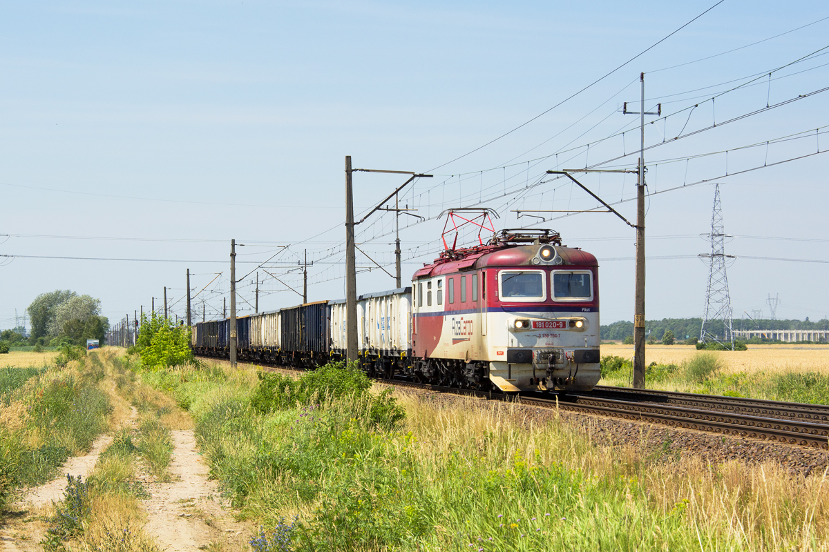 181 020-9 [Ecco Rail]