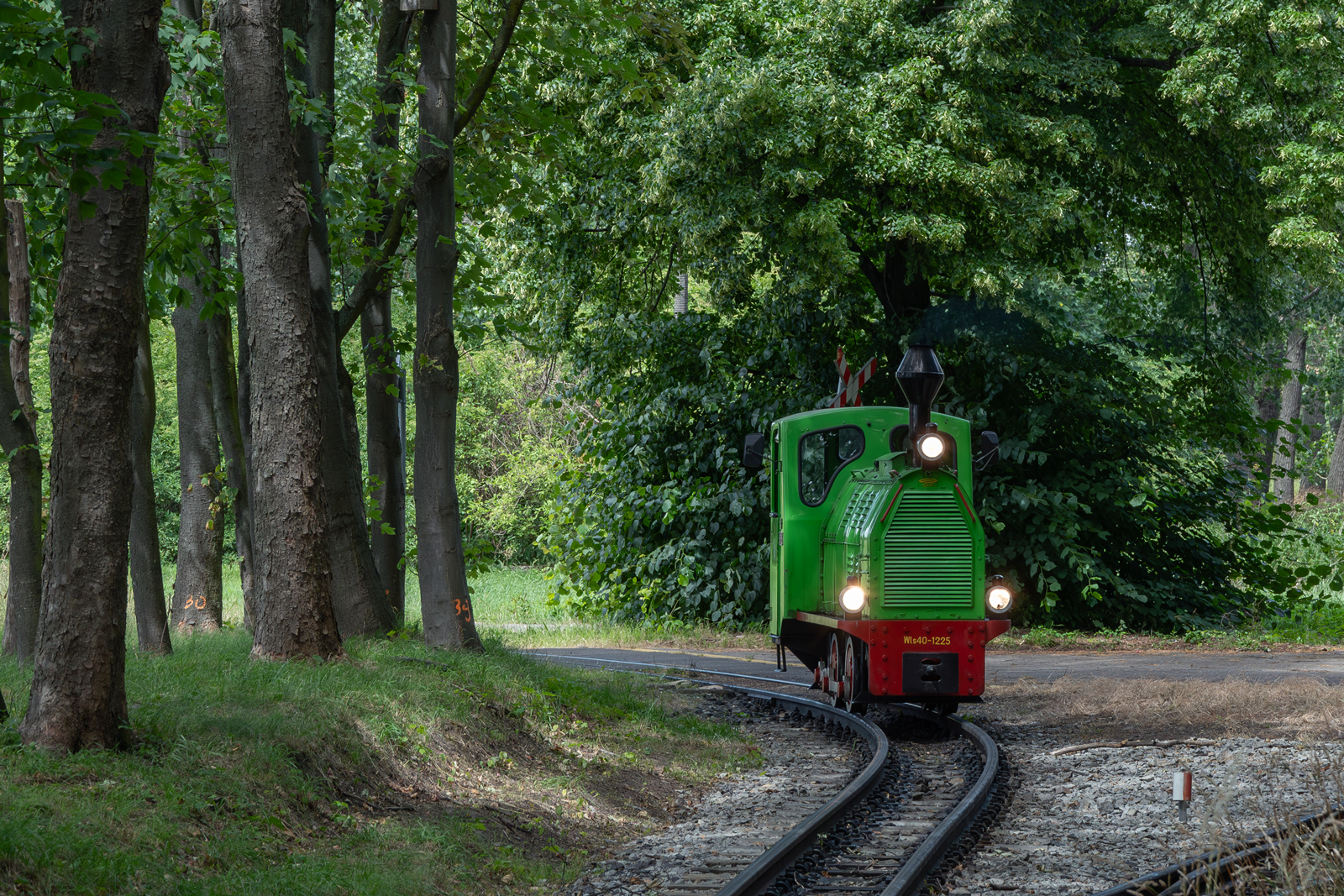 Wls40-1225