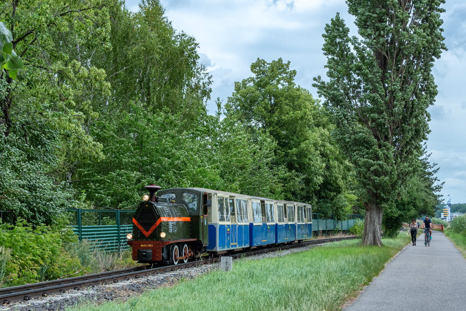 Wls50-1563