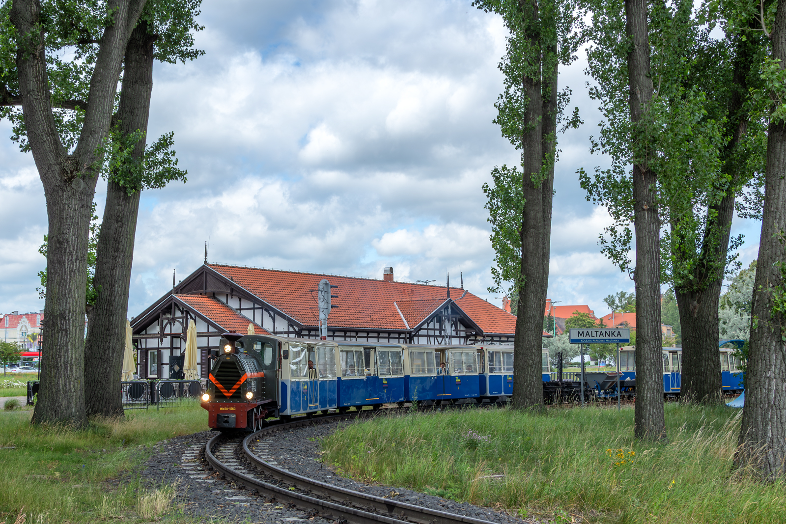 Wls50-1563