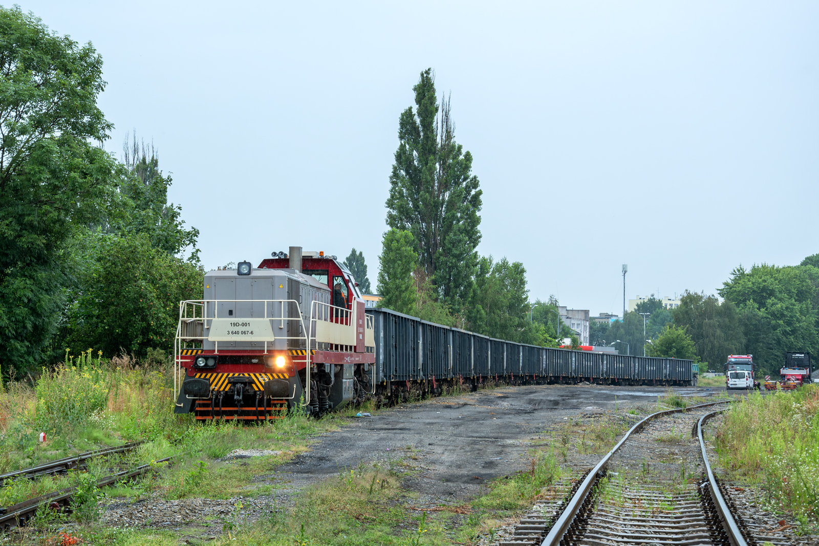 19D-001 [Alza Cargo]