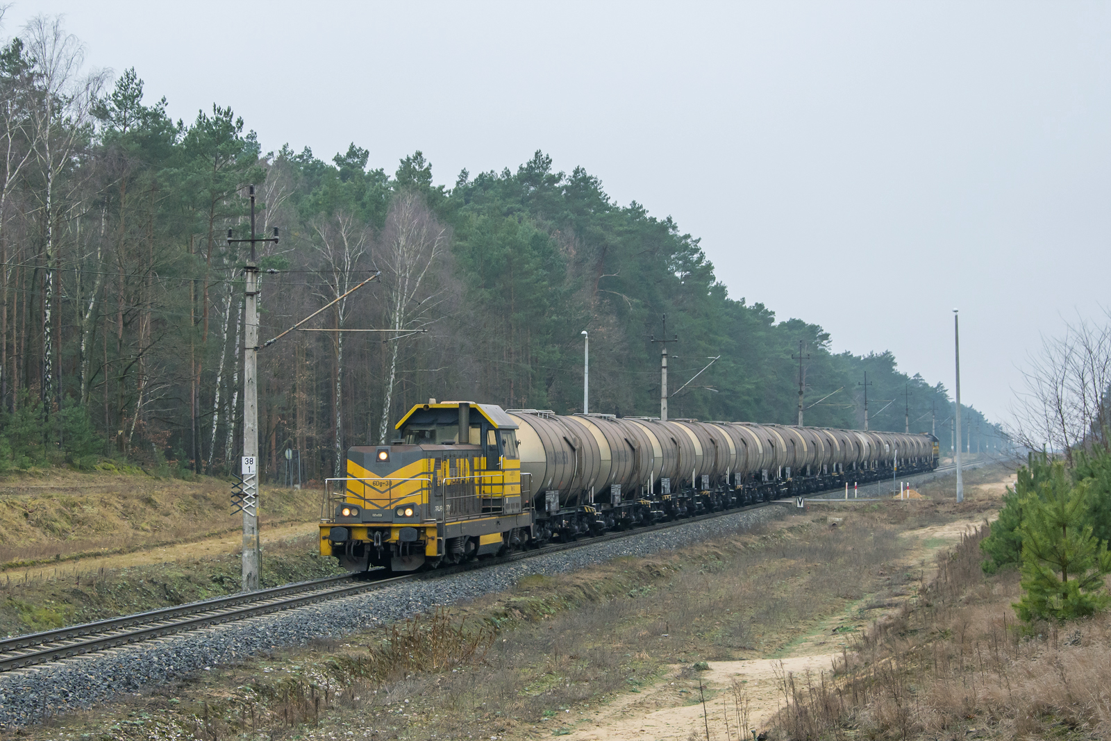 6Dg-38 [Przedsiębiorstwo Transportu Kolejowego ''Koltar"]