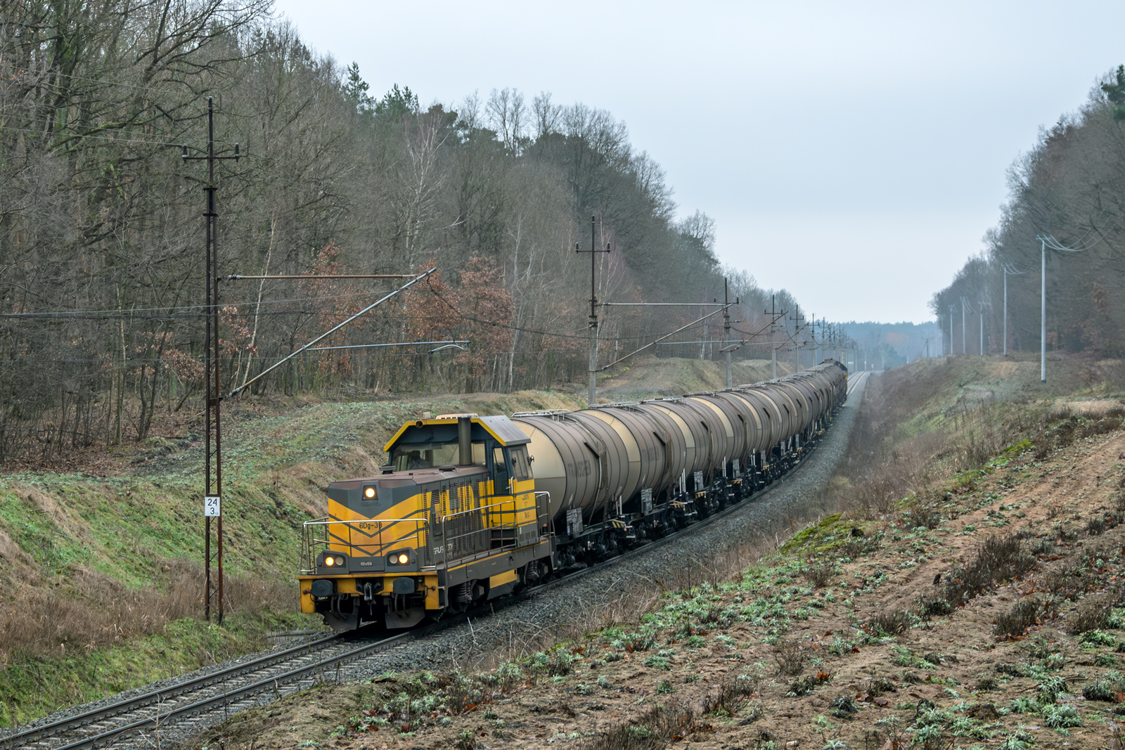 6Dg-38 [Przedsiębiorstwo Transportu Kolejowego ''Koltar"]