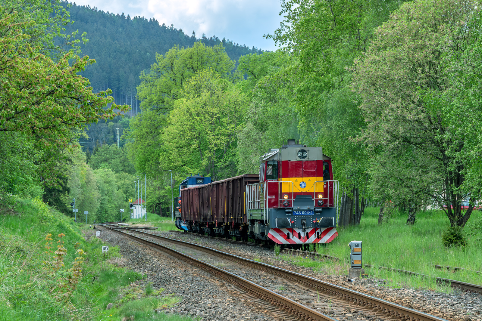 743 004-4 [CD Cargo]
