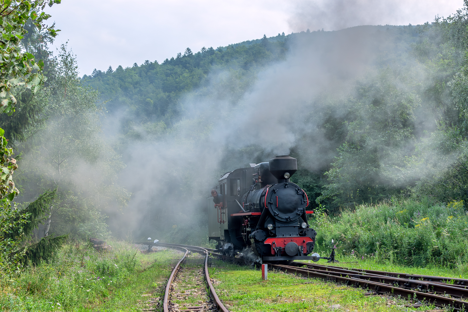 Kp4-3772