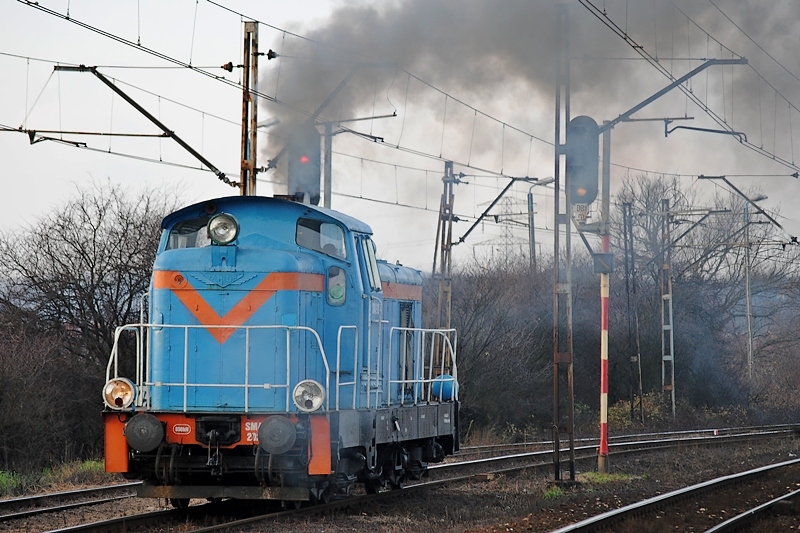 SM42-2029 [S&K Train Logistics / del. CTL Logistics]