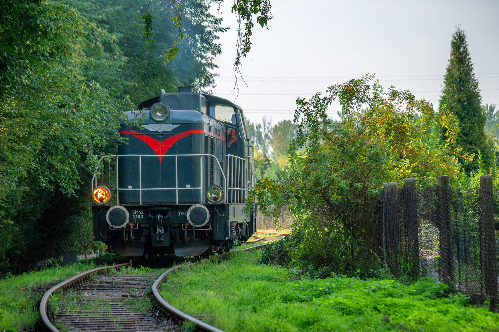 SM42-2163 [Wiskol / del. Lotos Kolej]