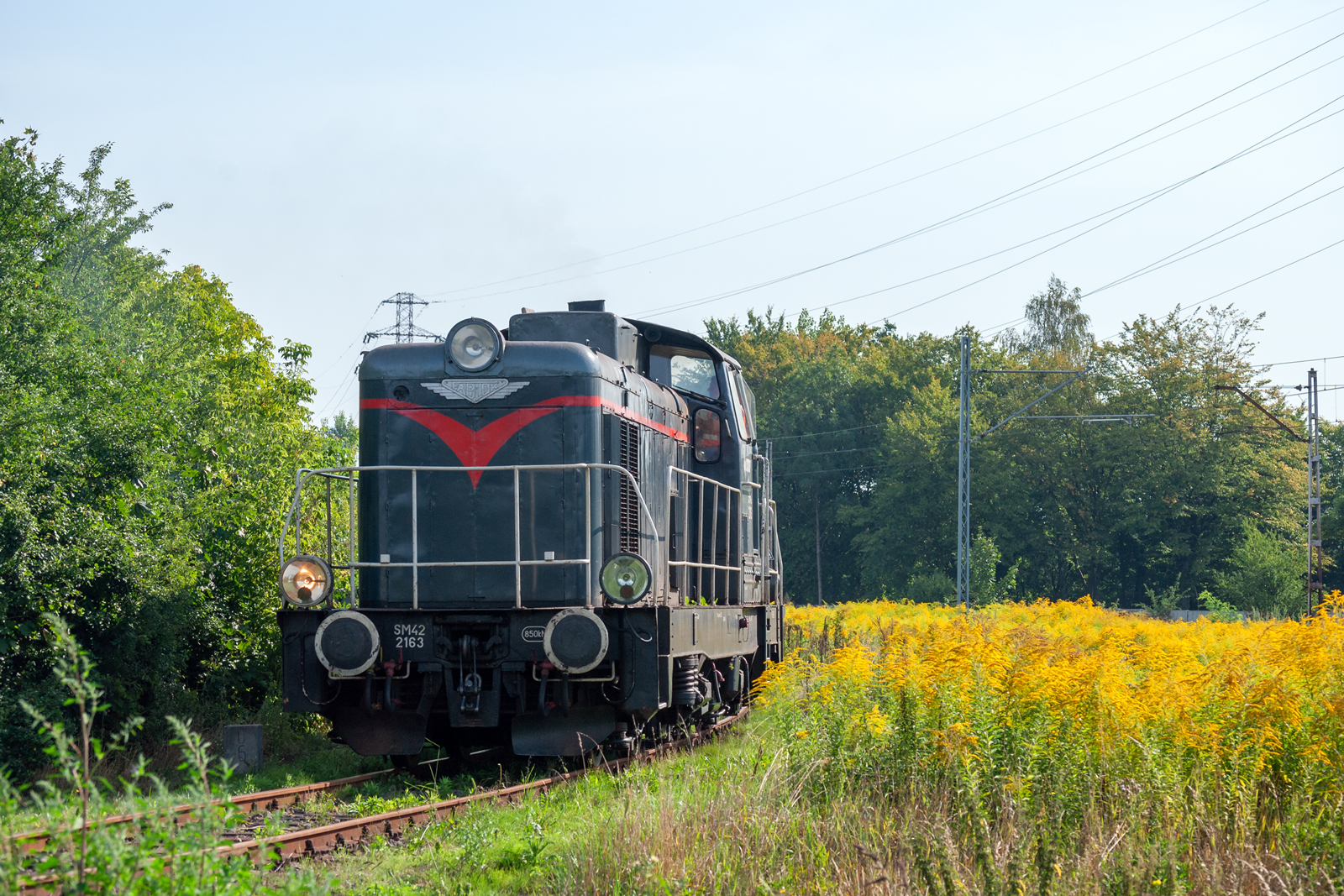 SM42-2163 [Wiskol / del. Lotos Kolej]