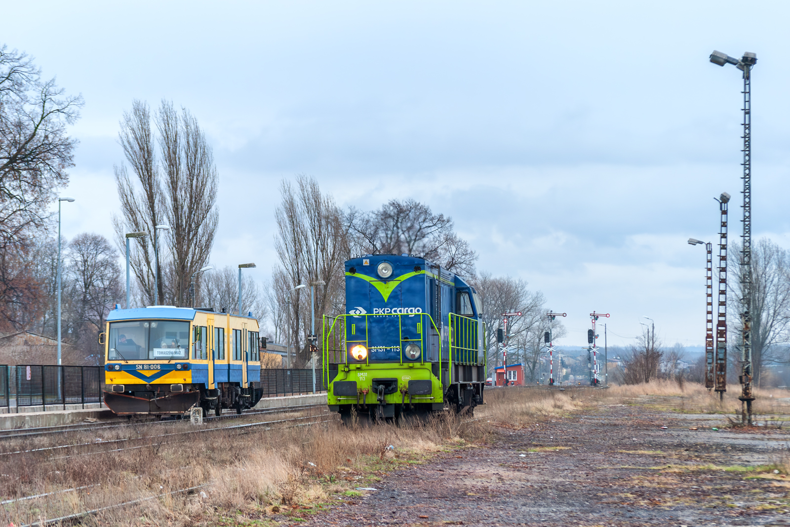 SM31-113 [PKP Cargo]