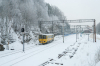810 659-3 [GW Train Regio]