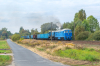 BR232-561 [Depol]