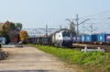 311D-01 [Colas Rail Polska]