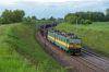 131 081-2 / 131 082-0 [Intercargo]