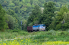 752 052-1 [ZSSK Cargo]