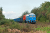 BR232-789 [Depol]