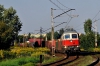 BR232 484-6 [DB Schenker Rail Polska]